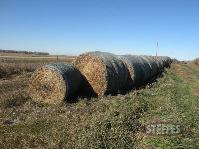 (58) Full bales- (2) Half bales alfalfa hay-_1.jpg